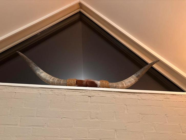 Bullbaar met touw en koeienhuid, Huis en Inrichting, Woonaccessoires | Wanddecoraties, Zo goed als nieuw, Ophalen