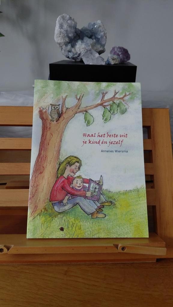 Haal het beste uit je kind én jezelf - Annelies Wiersma, Boeken, Gezondheid, Dieet en Voeding, Zo goed als nieuw, Overige typen