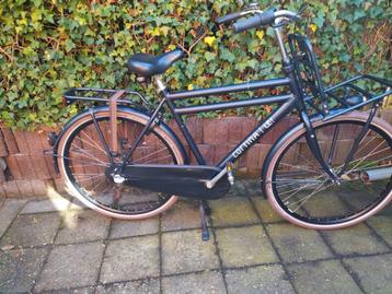 tekoop zgoh Cortina u4 transport heren 57cm  beschikbaar voor biedingen