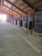 Kleinschalige pensionstal heeft stallen vrij!