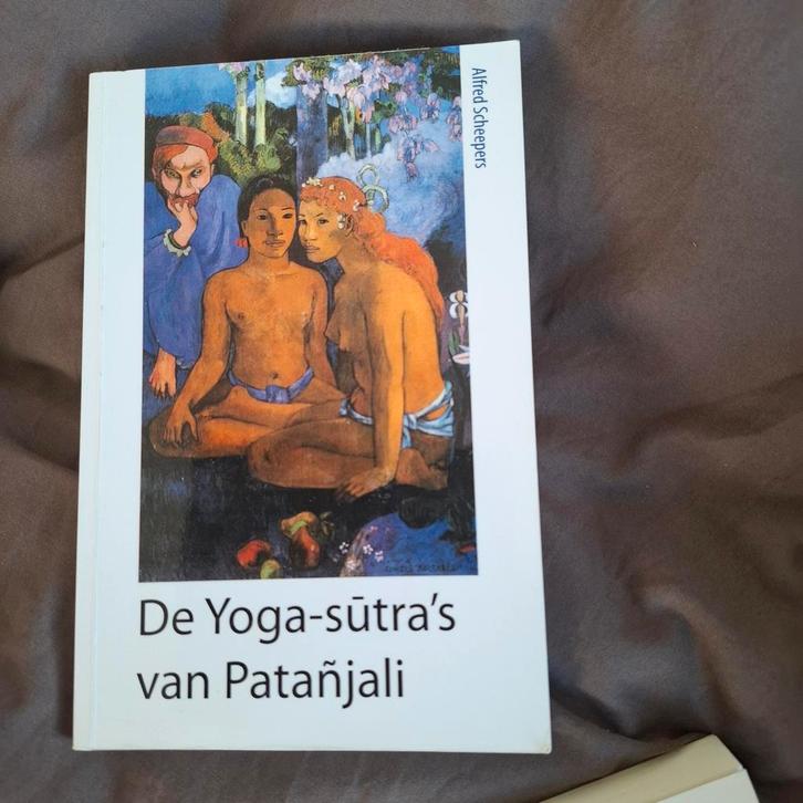 Patanjali - De Yoga-sutra's van Patanjali, Boeken, Filosofie, Zo goed als nieuw, Ophalen of Verzenden