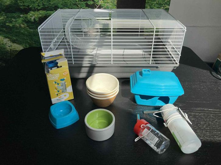 Knaagdieren kooi + accessoires, Dieren en Toebehoren, Knaagdieren en Konijnen | Hokken en Kooien, Gebruikt, Kooi, Minder dan 60 cm
