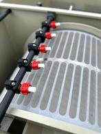 DVS CL50 trommelfilter + Kaldness.Full/WiFi /SENECT, Karper of Koi