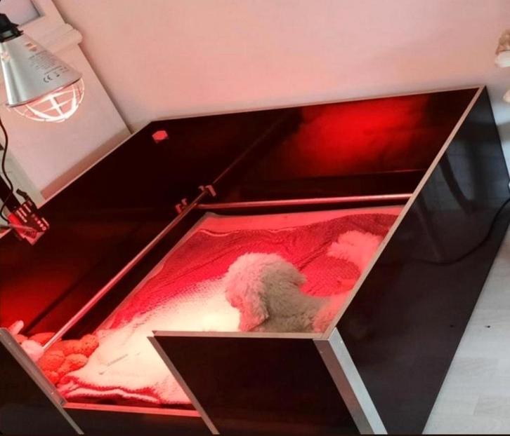 Werpkist warmte lamp te huur, Dieren en Toebehoren, Hondenhokken, Zo goed als nieuw, Minder dan 65 cm, 110 cm of meer, Ophalen