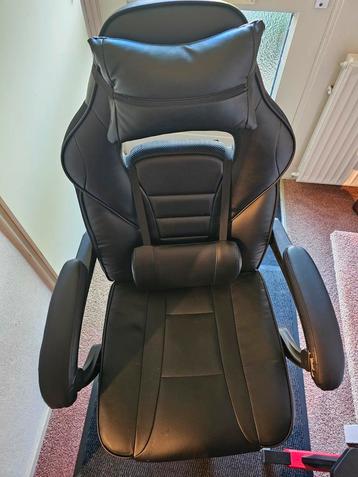 GAMESTOEL 4 MAANDEN OUD  beschikbaar voor biedingen