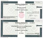 Homburg Holding N.V, te Cuijk 1989, Postzegels en Munten, Ophalen of Verzenden, 1970 tot heden, Aandeel