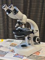 Zeiss Standard Fase Contrast Binoculaiere Microscoop, Ophalen of Verzenden, Gebruikt, 400x tot 1000x, Biologische microscoop