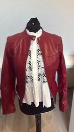 Vero moda leren jas rood leather 36, Kleding | Dames, Jassen | Winter, Ophalen of Verzenden, Zo goed als nieuw, Maat 36 (S), Rood