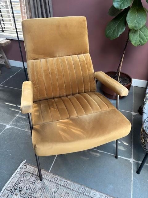 Eleonora-fauteuil William, Huis en Inrichting, Fauteuils, Gebruikt, Metaal, 50 tot 75 cm, Minder dan 75 cm, Ophalen