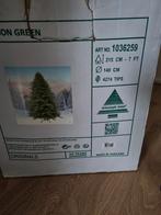 Kerstboom, Tuin en Terras, Planten | Bomen, Volle zon, Minder dan 100 cm, Zomer, Overige soorten