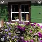 Tuinverruimer-Tuinposter - Boerderij met primula 60x60 cm, Tuin en Terras, Tuinwanddecoratie, Verzenden, Nieuw, Good Smiling, Info@goodsmiling.com