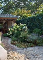 Portugees Graniet, Hardsteen, Natuursteen, Ophalen, Natuursteen, Terrastegels