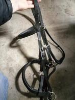 Bitloos hoofdstel full, Dieren en Toebehoren, Paarden en Pony's | Hoofdstellen en Tuigage, Ophalen of Verzenden, Zo goed als nieuw