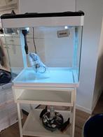 Aquaria, Dieren en Toebehoren, Vissen | Aquaria en Toebehoren, Ophalen of Verzenden, Leeg aquarium