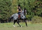 Nieuwe Bucas Buzz Off Riding Zebra vliegenrijdeken 195 & 185, Ophalen of Verzenden, Nieuw