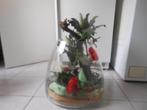 kunstplant, Huis en Inrichting, Ophalen, Gebruikt, Binnen