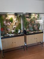 Duurzaam glazen reptiel terrarium, op maat, met lichtpunten, Dieren en Toebehoren, Reptielen en Amfibieën | Toebehoren, Nieuw