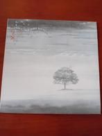 Lp Genesis  - Wind and Wuthering, Ophalen of Verzenden, Zo goed als nieuw