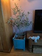 Kunst olijfboom, kunstboom, olijf, 125 cm hoog, Ophalen of Verzenden, Zo goed als nieuw
