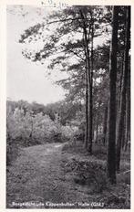 Ansichtkaart 1960 Halle Bosgezicht de Kappenbulten, Verzamelen, Ansichtkaarten | Nederland, Ophalen of Verzenden, 1960 tot 1980