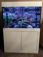 Aqualife aquarium +/-  300 liter, Dieren en Toebehoren, Gebruikt, Ophalen, Gevuld zoetwateraquarium