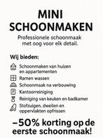 Professionele Schoonmaaken, 33 - 40 uur, Overige niveaus, Starter, Overige vormen