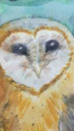 schilderij kerkuil, Ophalen