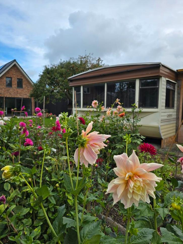 Stacaravan/Bouwunit - Tijdelijke Woonruimte, Caravans en Kamperen, Stacaravans, Ophalen