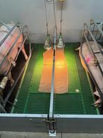 Vereijken kraamhokken met balancevloer [685], Ophalen of Verzenden, Boekhorst Trading, Info@boekhorsttrading.com, Singel 16, Horssen