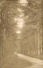 Zeist - De Koelaan, Verzamelen, Ansichtkaarten | Nederland, Ophalen of Verzenden, 1920 tot 1940, Gelopen, Utrecht