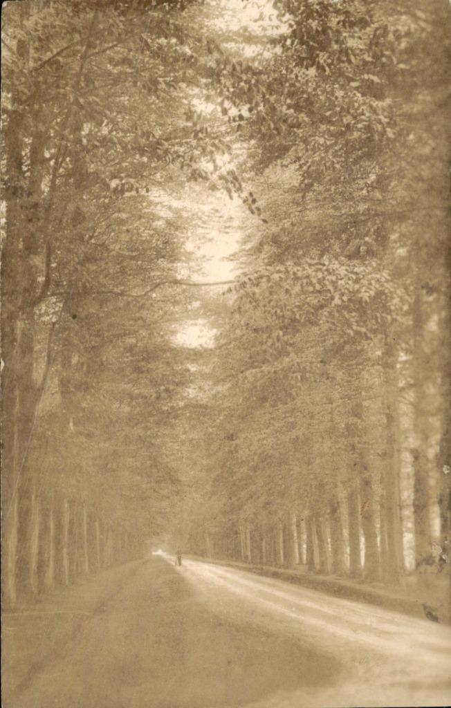 Zeist - De Koelaan, Verzamelen, Ansichtkaarten | Nederland, Gelopen, Utrecht, 1920 tot 1940, Ophalen of Verzenden