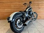 Harley Davidson Chopper 96 FXDB Dyna Street Bob | Custom Pai, Motoren, Motoren | Harley-Davidson, 2 cilinders, Chopper, Bedrijf