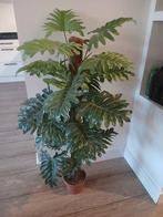 Grote zijdeplant kunst plant, Ophalen of Verzenden, Zo goed als nieuw
