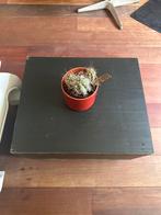 Salontafel met Opbergruimte Vida XL, Huis en Inrichting, Tafels | Salontafels, Gebruikt, Vierkant, Minder dan 50 cm, Overige houtsoorten