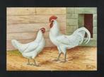 Pluimvee Kippen Ramelsloher Wit Boerderij, Van Gink., Ophalen of Verzenden, 1980 tot heden, Ongelopen, Vogel