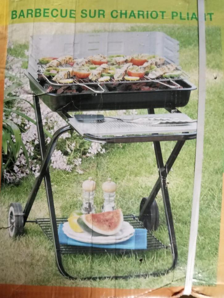 Houtskoolbarbecue voor buiten, 54 x 38 cm, roestvrij staal, Tuin en Terras, Houtskoolbarbecues, Nieuw, Met accessoires, Ophalen of Verzenden