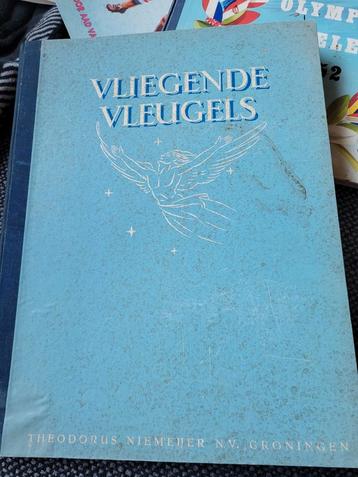 Vliegende vleugels beschikbaar voor biedingen