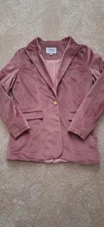 Soepele blazer velours, Ophalen of Verzenden, Jasje, Roze, Maat 36 (S)
