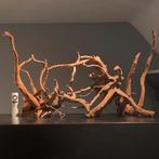 4x Spiderwood XXL Aquascape Setup / Kienhout, Hout Decoratie, Ophalen of Verzenden, Zo goed als nieuw, Plant(en), Steen of Hout