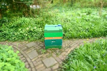 Te koop gebruikte Segeberger bijenkasten.