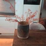 Prachtige rozenbottel takken 3 stuks, Huis en Inrichting, Ophalen