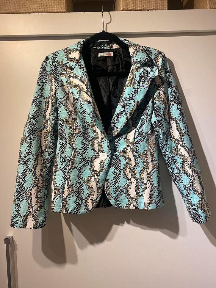 dames turquoise slangenprint blazer jack mt M, Kleding | Dames, Jasjes, Kostuums en Pakken, Zo goed als nieuw, Jasje, Maat 38/40 (M)