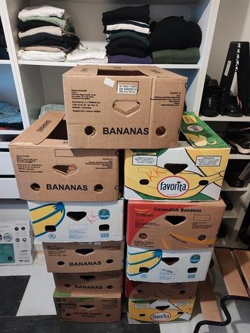 11 bananendozen beschikbaar voor biedingen