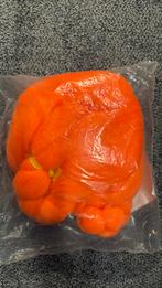 Pruik oranje vlechten pipi, Ophalen of Verzenden, Nieuw, Overige thema's, Accessoires