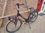 Cortina common family mamafiets, 56 cm of meer, Zo goed als nieuw, Mandje, 0 zitjes