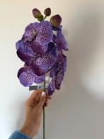 Silkka Orchidee - Volle Doos (12 stelen) - Korting!, Huis en Inrichting, Ophalen of Verzenden, Nieuw, Binnen