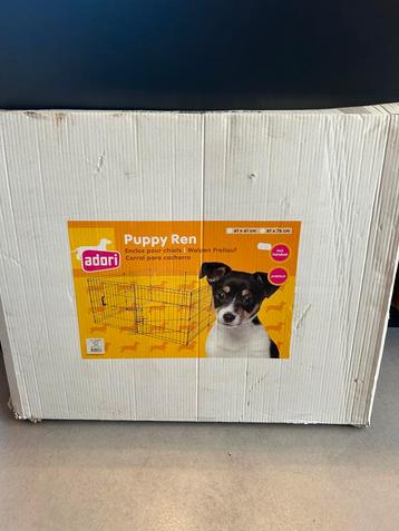 Puppy ren beschikbaar voor biedingen