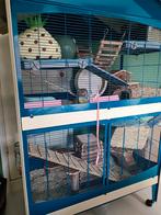 Grote knaagdieren kooi 100x60x170, Dieren en Toebehoren, Knaagdieren en Konijnen | Hokken en Kooien, Ophalen, Kooi, Gebruikt, 90 cm of meer