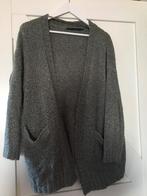 Grijs vest Steps, Kleding | Dames, Maat 42/44 (L), Ophalen of Verzenden, Steps, Grijs