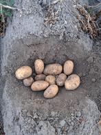 Tafel Aardappelen, Diversen, Ophalen